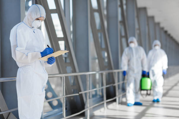 Best Mold Damage Restoration  in Selma, NC
