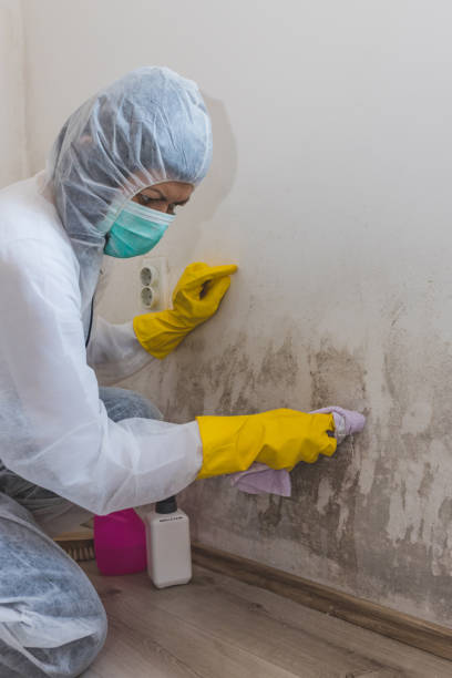 Best Water Damage & Mold Remediation  in Selma, NC