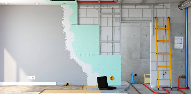 Best Commercial Mold Inspection  in Selma, NC